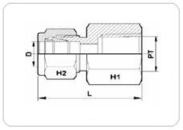 female-connector-bspt.jpg