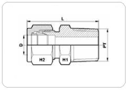 male-connector-bspt.jpg